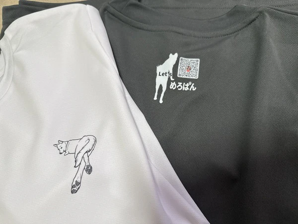 レビュー投稿の拡大画像