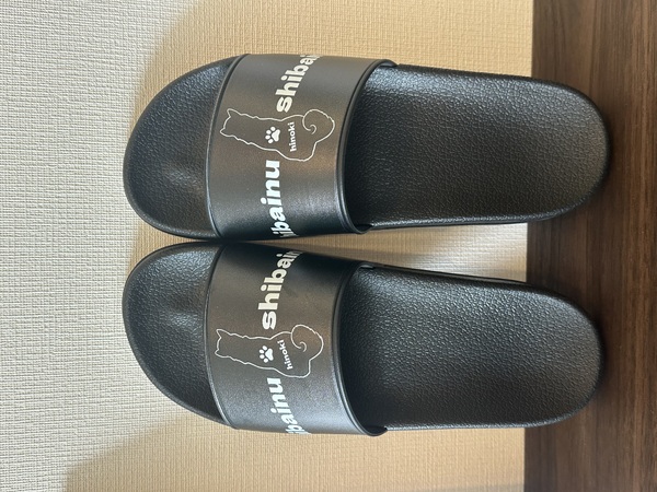 レビュー投稿の拡大画像