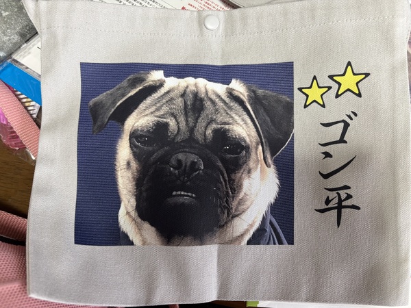 レビュー投稿の拡大画像