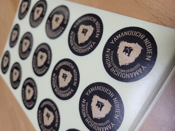 レビュー投稿の拡大画像