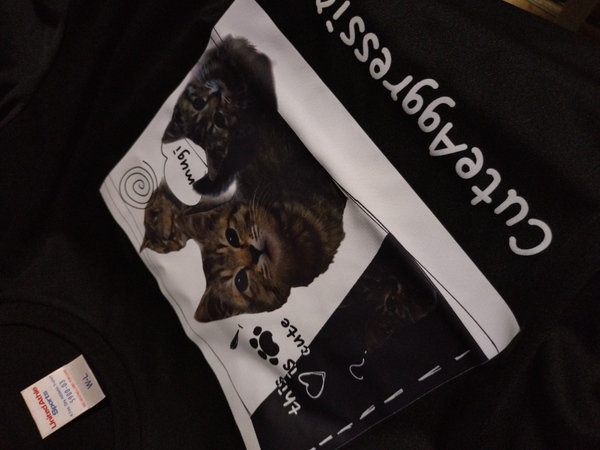 レビュー投稿の拡大画像