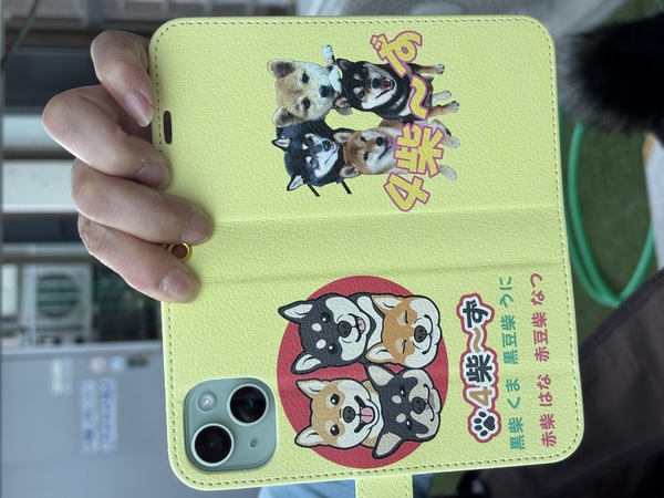 レビュー投稿の拡大画像