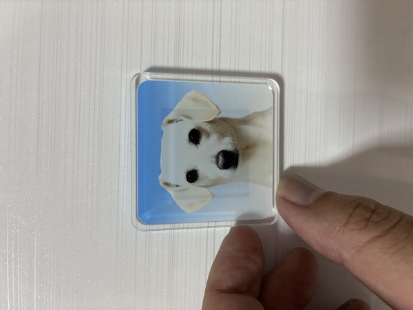 レビュー投稿の拡大画像