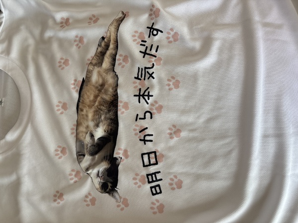 レビュー投稿の拡大画像