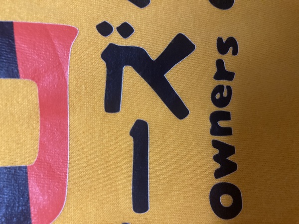レビュー投稿の拡大画像
