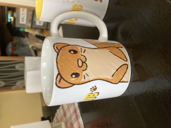 レビュー投稿の拡大画像
