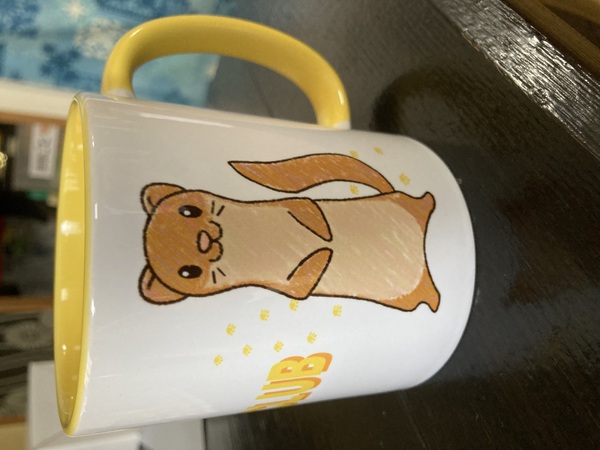 レビュー投稿の拡大画像