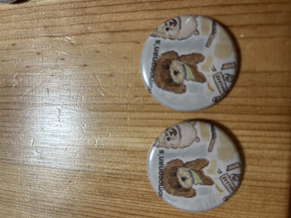 レビュー投稿の拡大画像