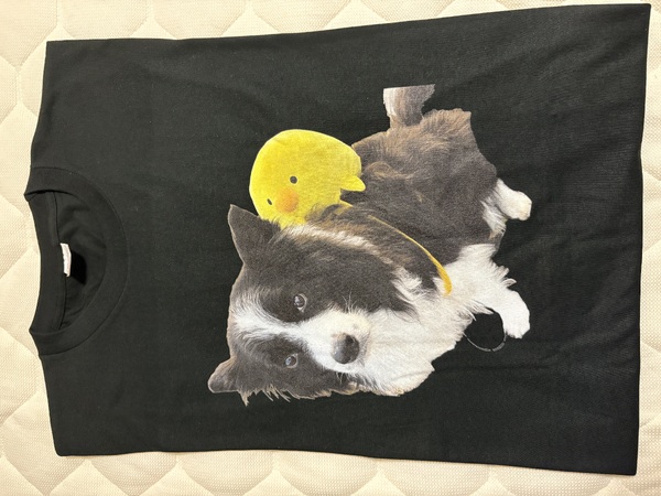 レビュー投稿の拡大画像