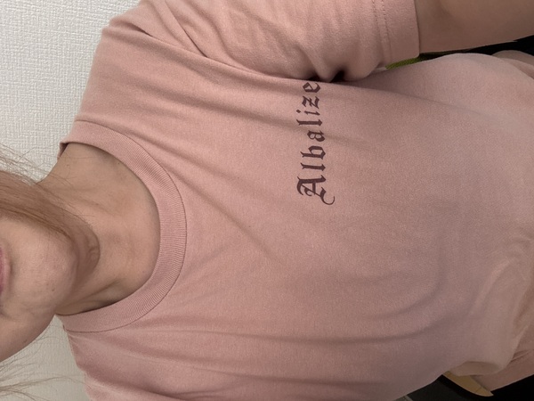 レビュー投稿の拡大画像