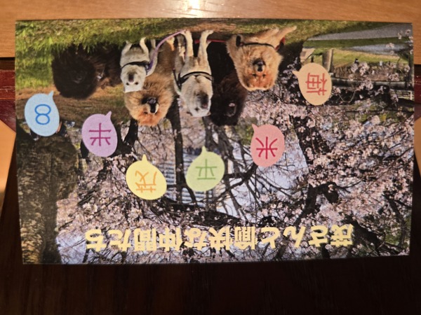 レビュー投稿の拡大画像