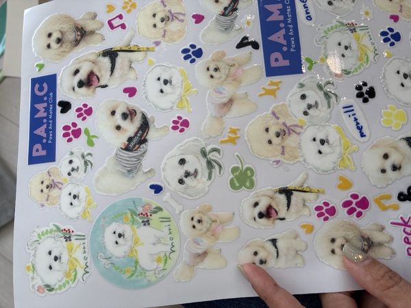 レビュー投稿の拡大画像