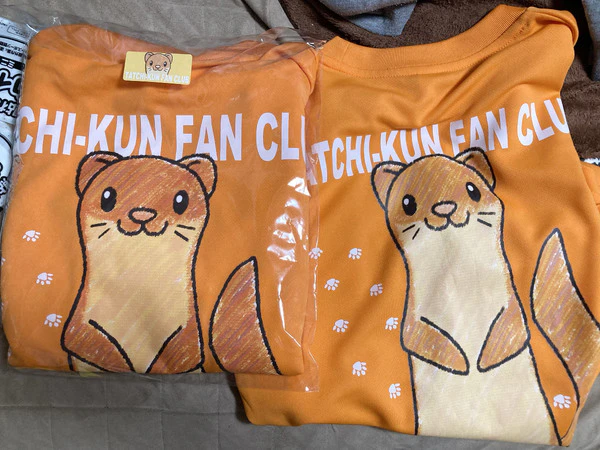 レビュー投稿の拡大画像