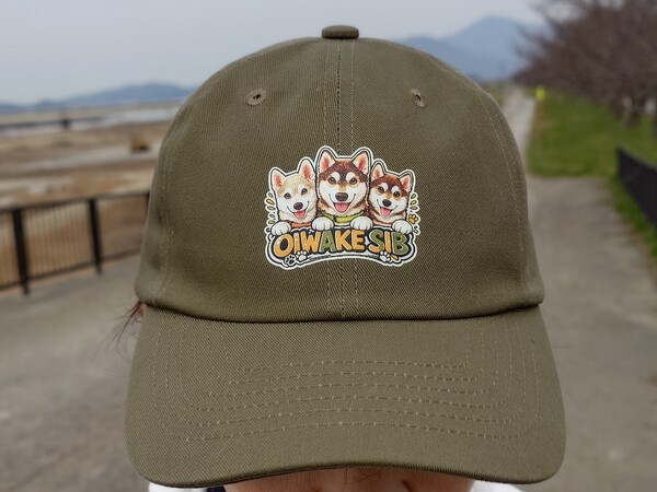 レビュー投稿の拡大画像