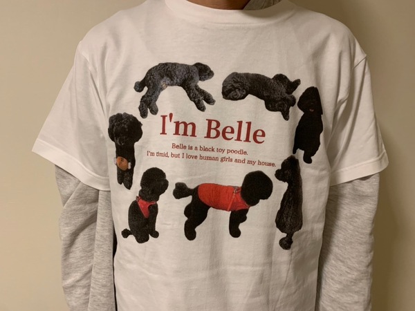 レビュー投稿の拡大画像