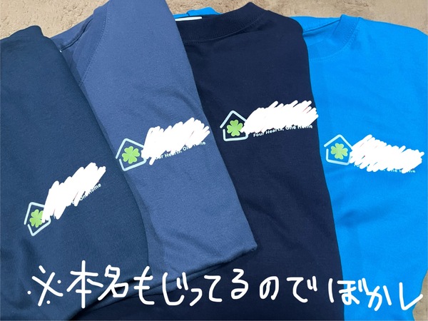 レビュー投稿の拡大画像