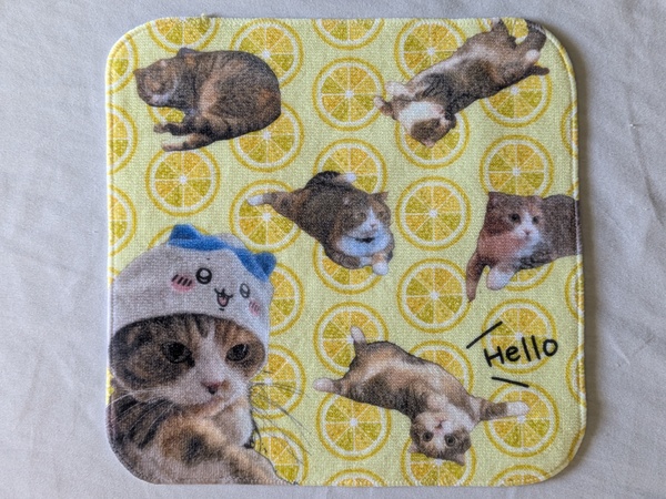 レビュー投稿の拡大画像