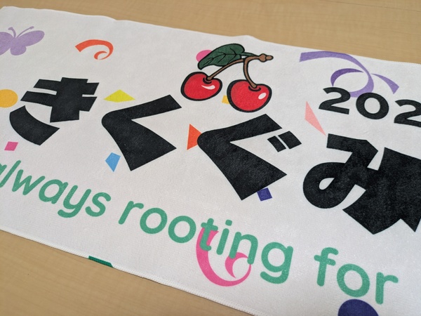 レビュー投稿の拡大画像