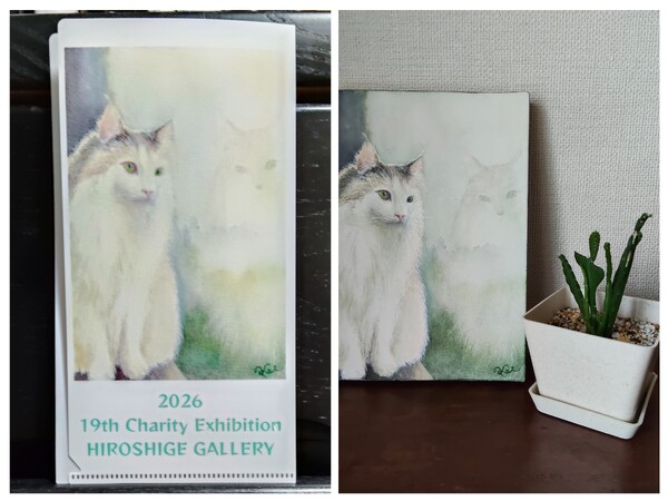 レビュー投稿の拡大画像