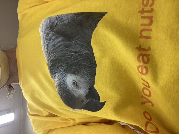 レビュー投稿の拡大画像