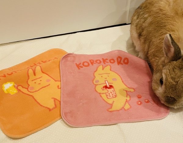 レビュー投稿の拡大画像