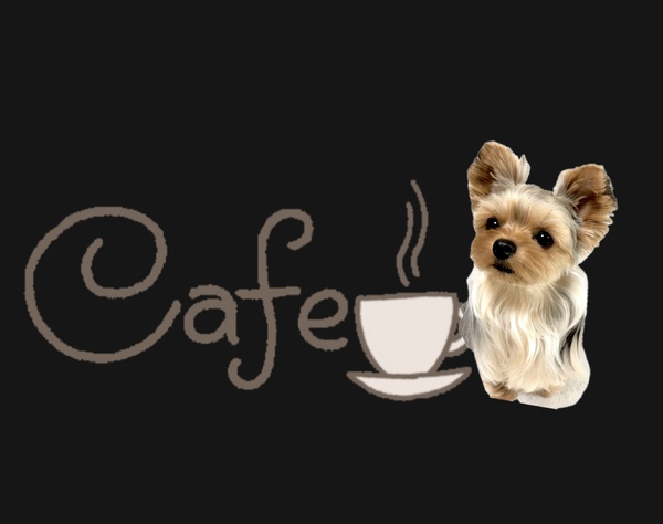 レビュー投稿の拡大画像