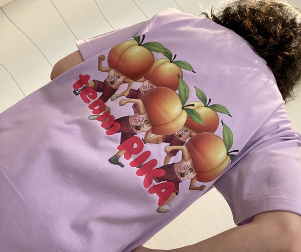 レビュー投稿の拡大画像