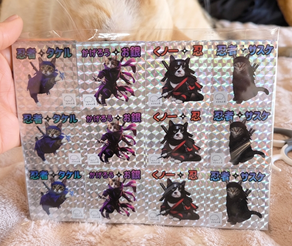 レビュー投稿の拡大画像