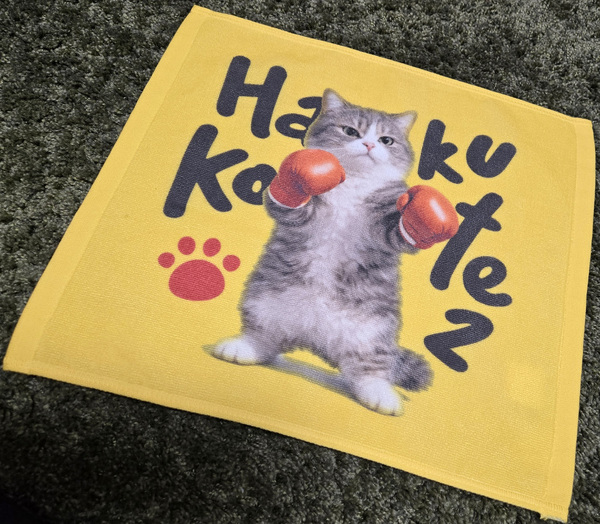 レビュー投稿の拡大画像