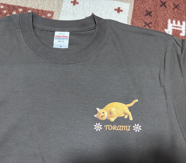 レビュー投稿の拡大画像