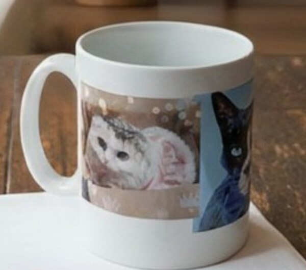 レビュー投稿の拡大画像