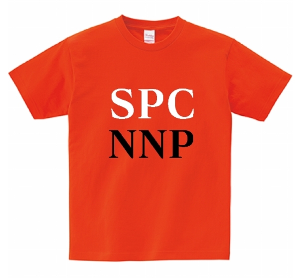 レビュー投稿の拡大画像