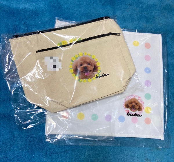 レビュー投稿の拡大画像