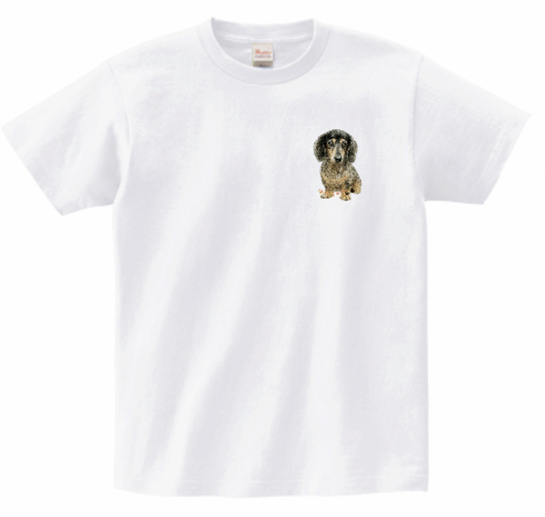 レビュー投稿の拡大画像