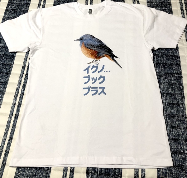 レビュー投稿の拡大画像