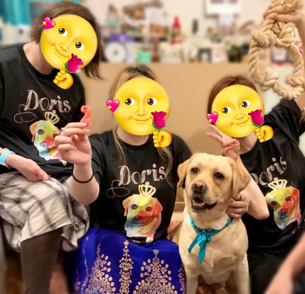 レビュー投稿の拡大画像