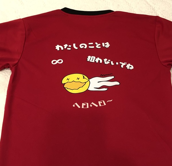 レビュー投稿の拡大画像