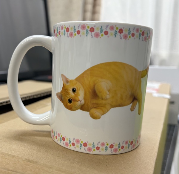 レビュー投稿の拡大画像