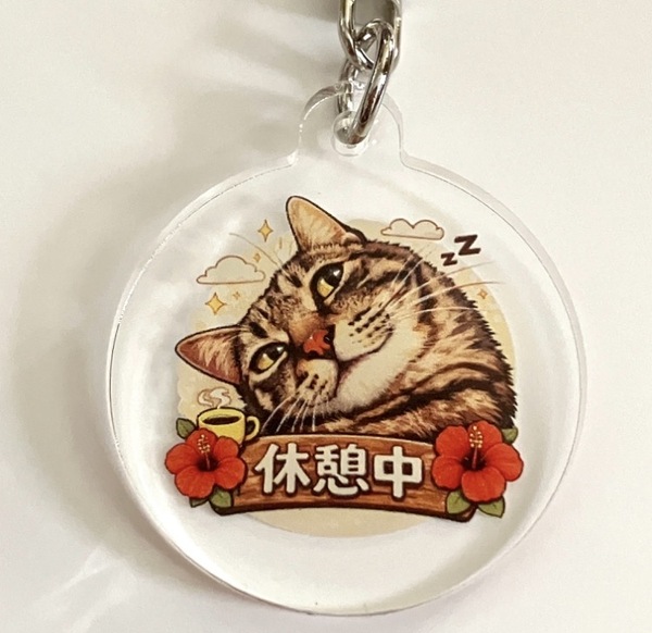 レビュー投稿の拡大画像