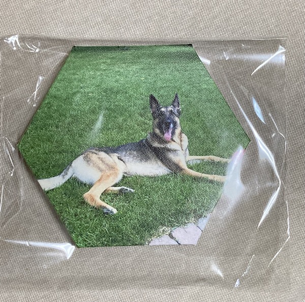 レビュー投稿の拡大画像