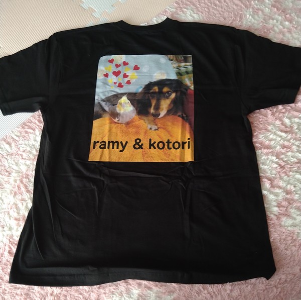 レビュー投稿の拡大画像