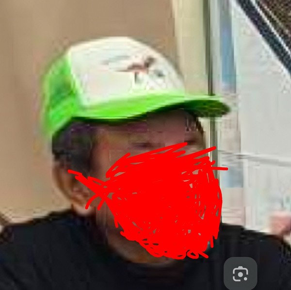 レビュー投稿の拡大画像