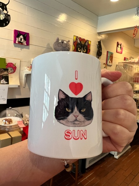 レビュー投稿の拡大画像