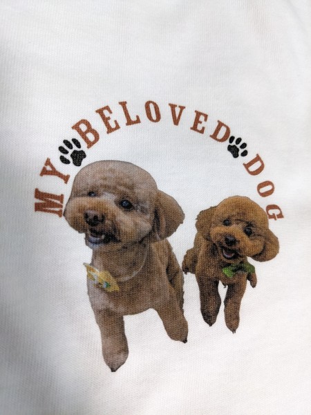 レビュー投稿の拡大画像