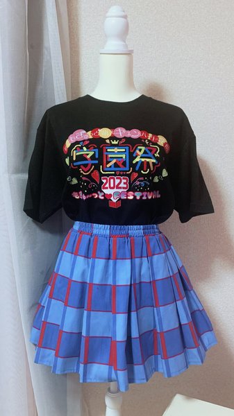 レビュー投稿の拡大画像