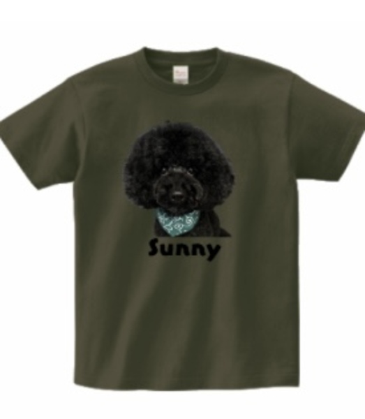 レビュー投稿の拡大画像