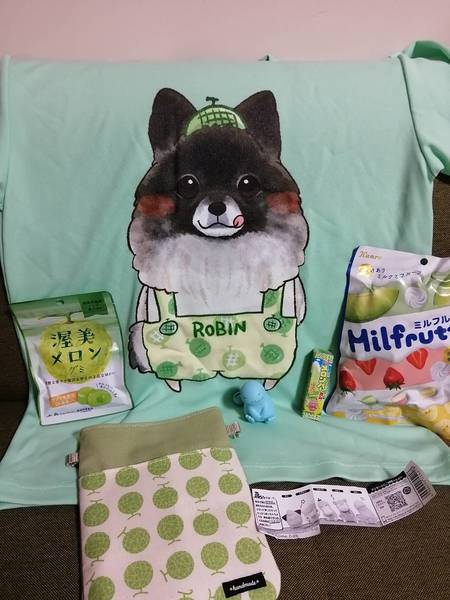 レビュー投稿の拡大画像