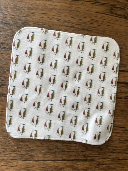 レビュー投稿の拡大画像