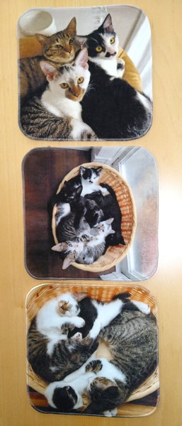 レビュー投稿の拡大画像