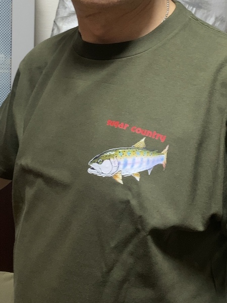 レビュー投稿の拡大画像